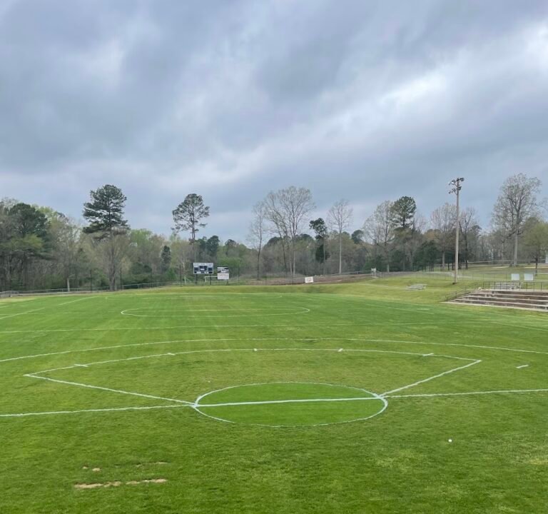 Soccer Field image 2