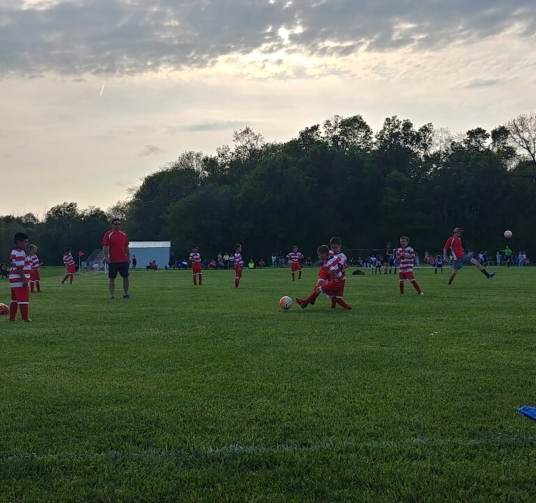 Soccer Field image 3