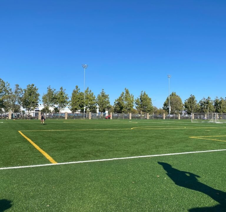 Soccer Field image 2