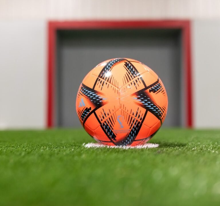 Soccer Field image 3