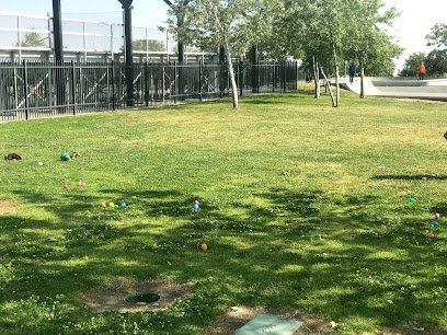 Soccer Field image 1