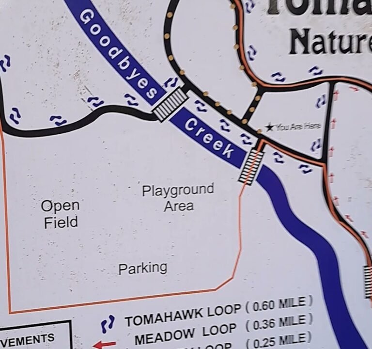 Soccer Field image 3