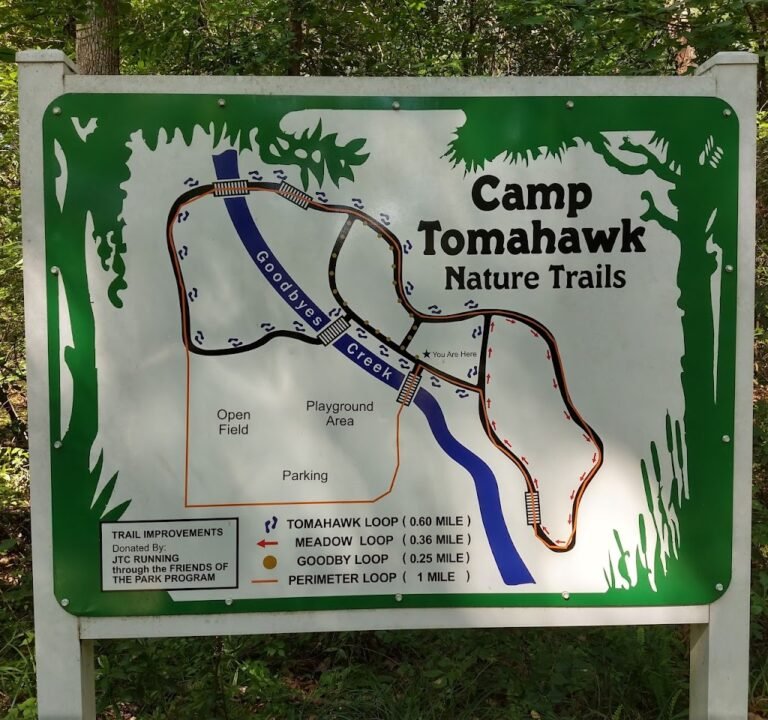 Soccer Field image 2