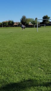 Soccer Field image 1