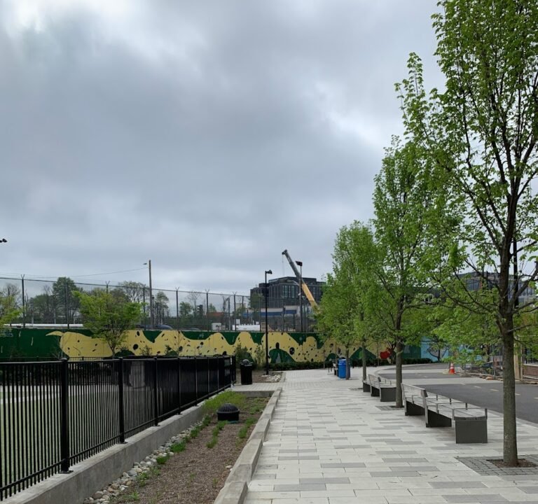 Soccer Field image 2