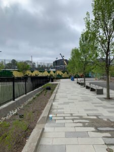 Soccer Field image 1