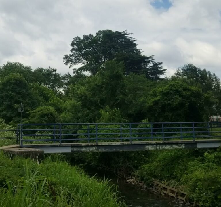 Soccer Field image 3