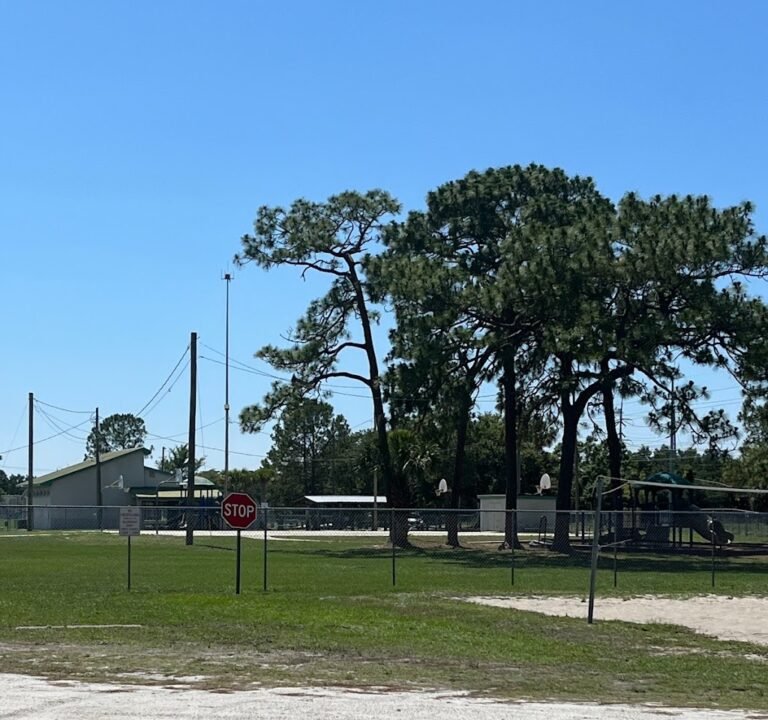 Soccer Field image 2