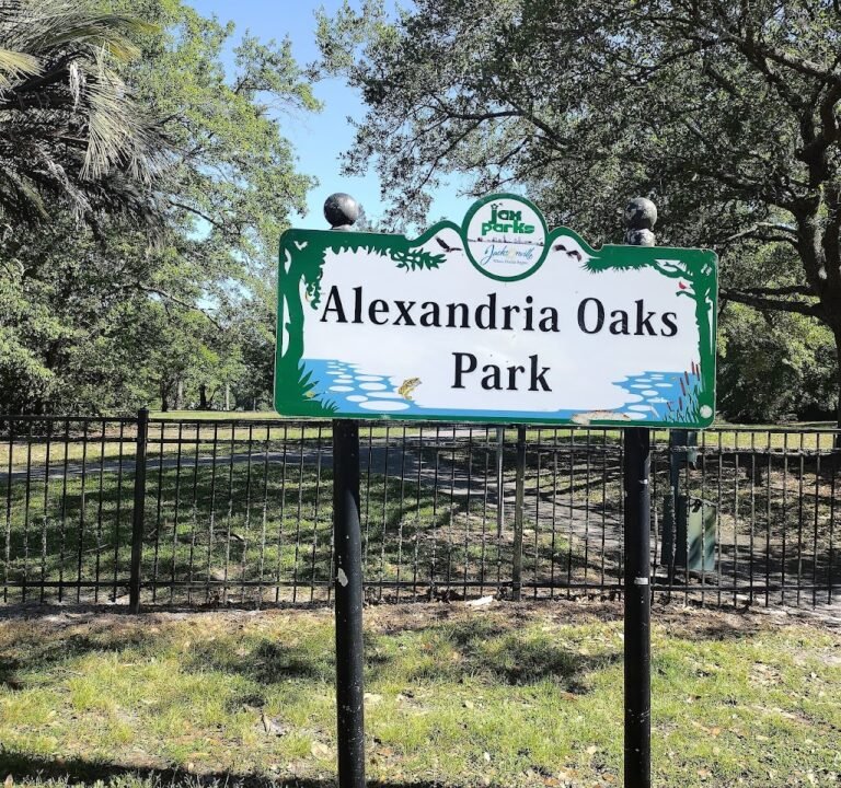 Soccer Field image 2