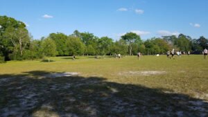 Soccer Field image 1