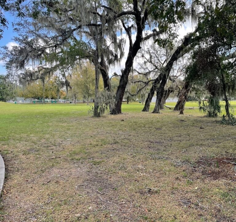 Soccer Field image 2