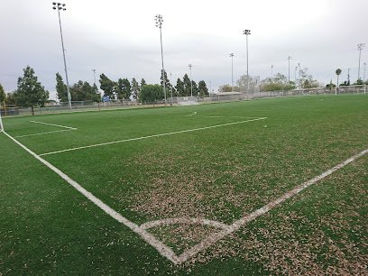 Soccer Field image 1
