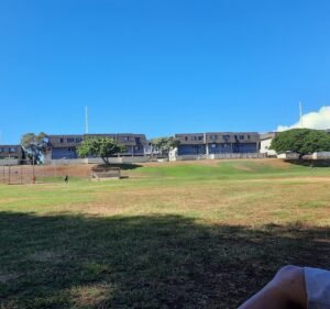 Soccer Field image 2