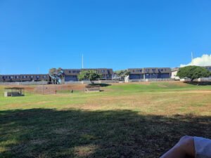 Soccer Field image 1