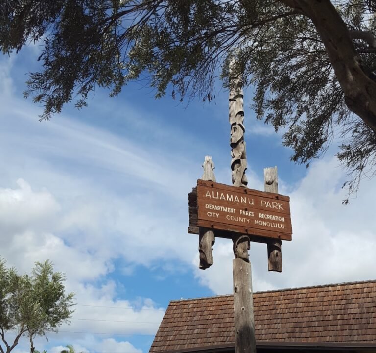 Soccer Field image 3