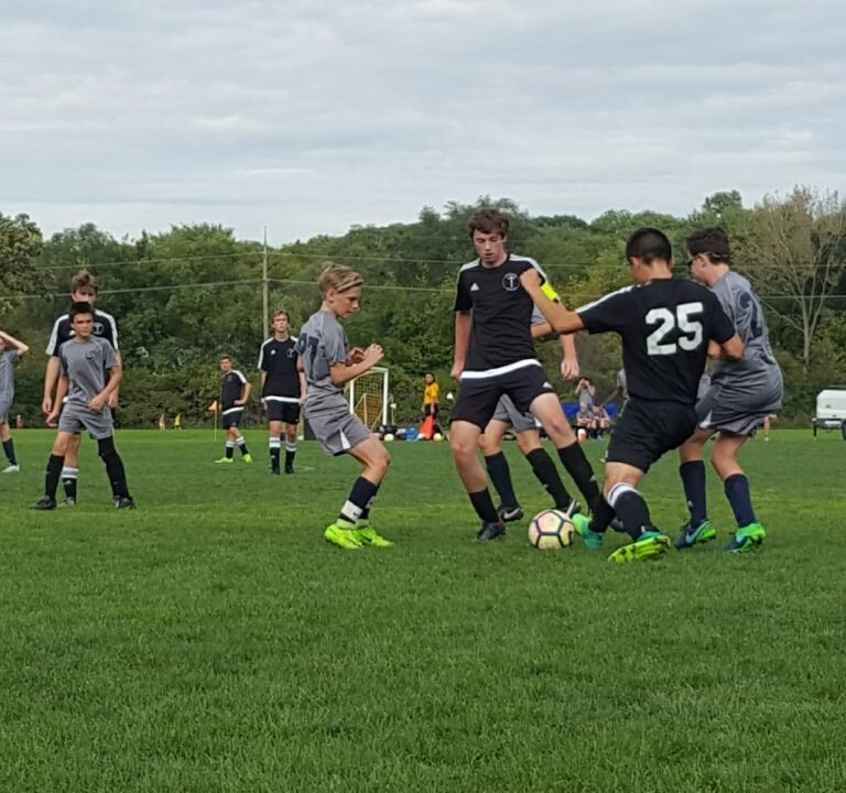 Soccer Field image 2