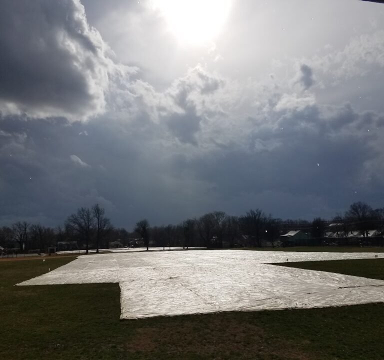 Soccer Field image 2