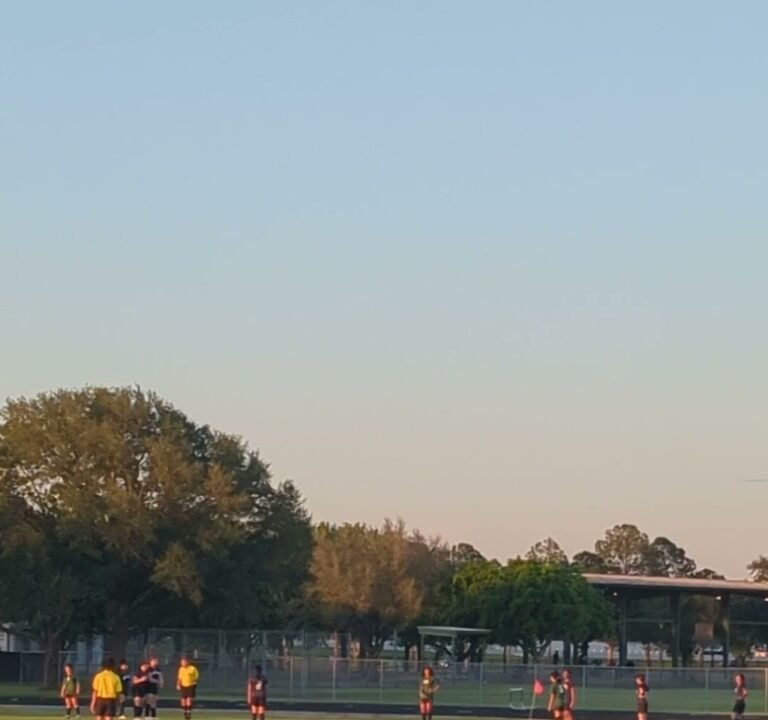 Soccer Field image 2