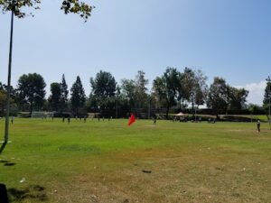Soccer Field image 1