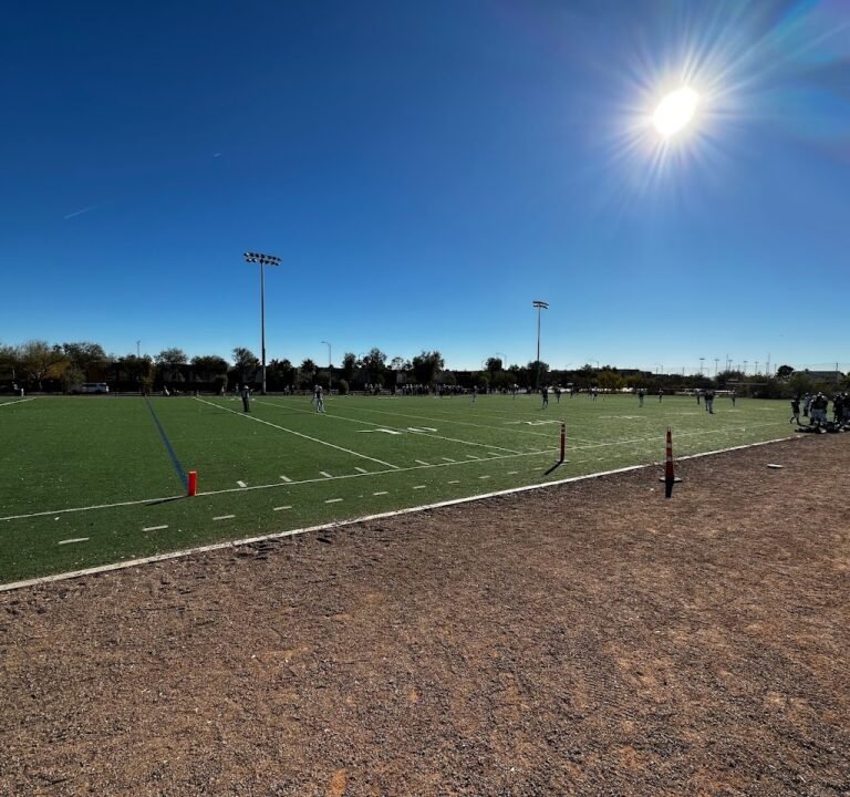 Soccer Field image 2