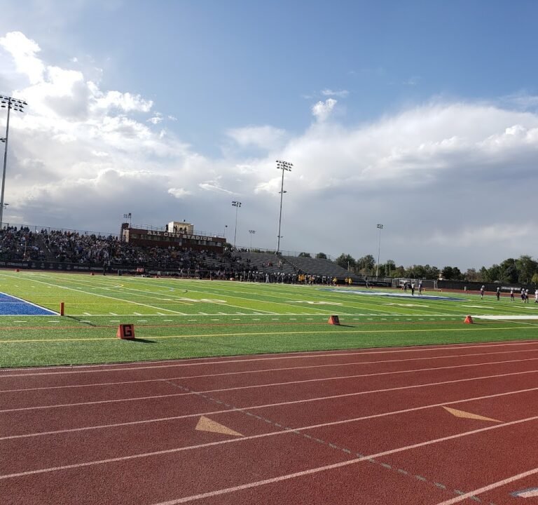 Soccer Field image 2