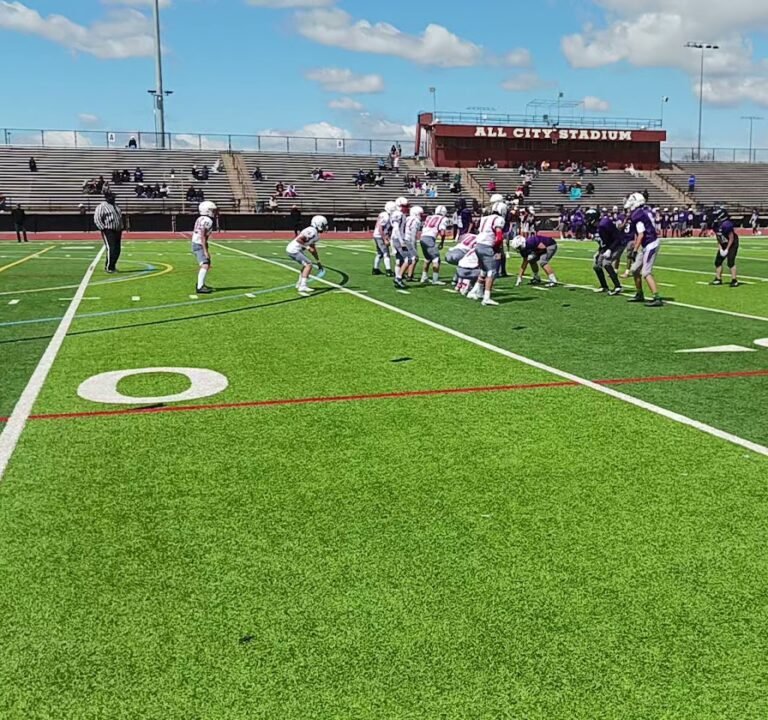 Soccer Field image 3