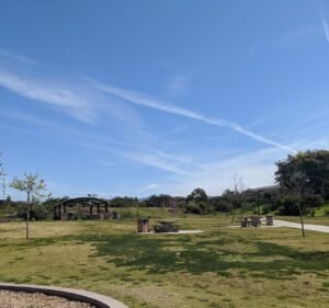Soccer Field image 2