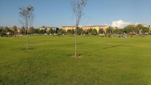Soccer Field image 1