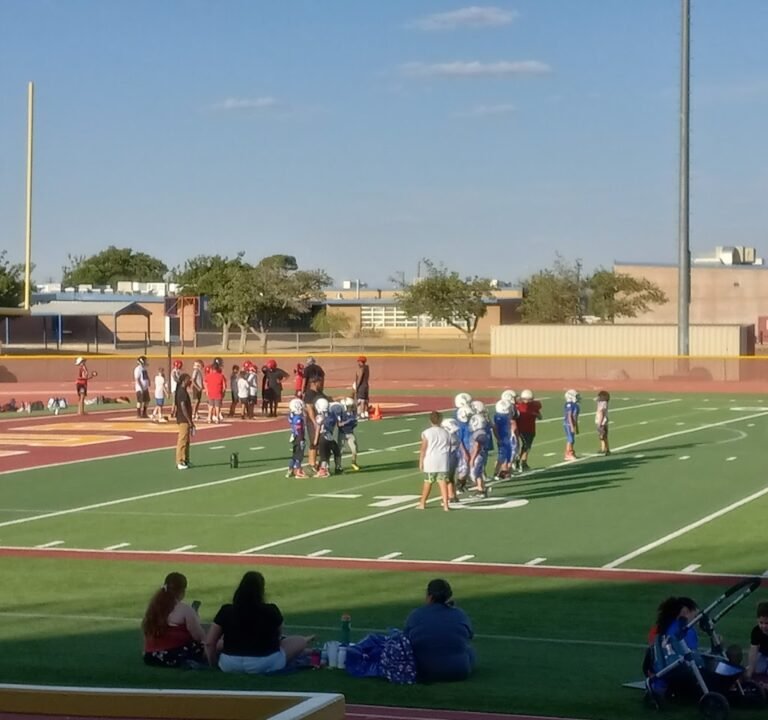 Soccer Field image 3