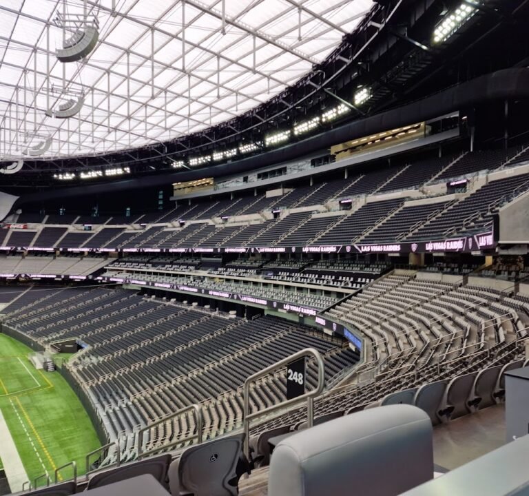 Soccer Field image 2