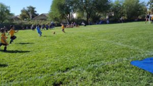Soccer Field image 1