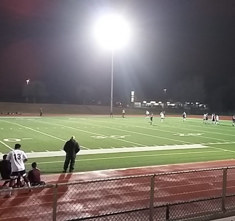 Soccer Field image 2