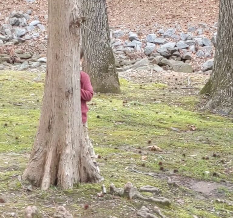 Soccer Field image 3