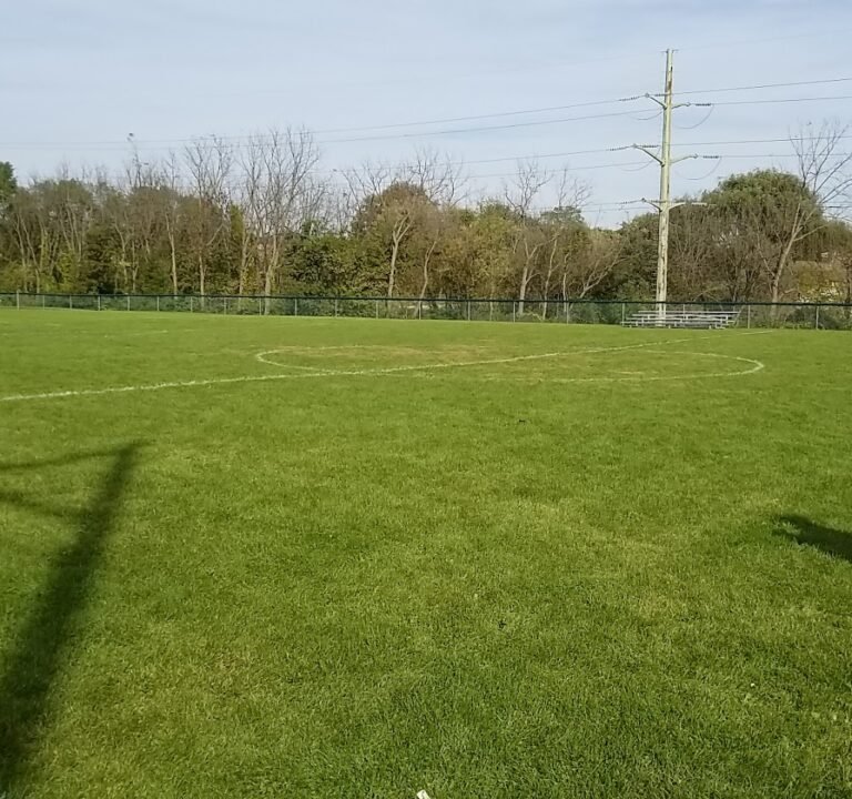 Soccer Field image 2