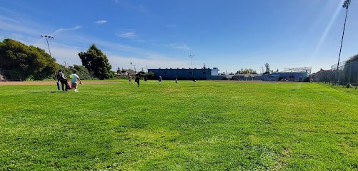 Soccer Field image 1
