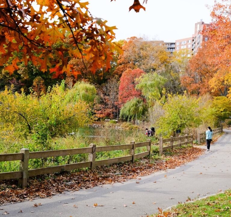 Soccer Field image 2