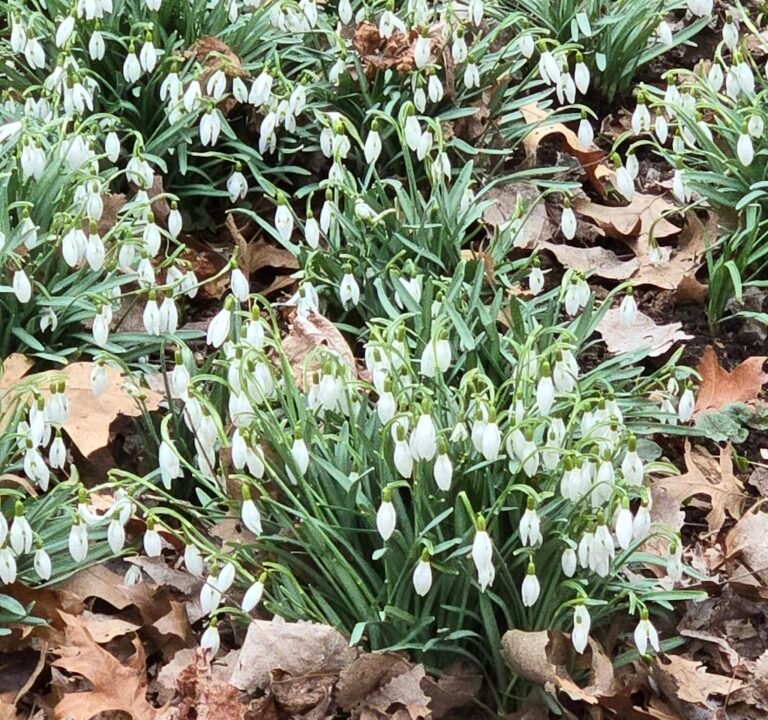 Soccer Field image 3