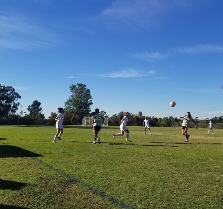 Soccer Field image 2