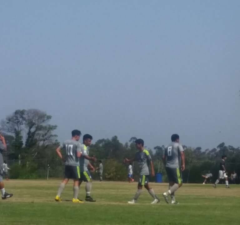 Soccer Field image 3