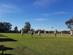 Soccer Field image 1