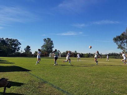 Soccer Field image 1