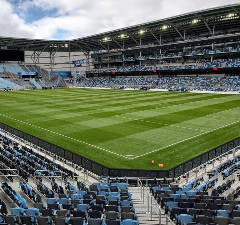 Soccer Field image 2