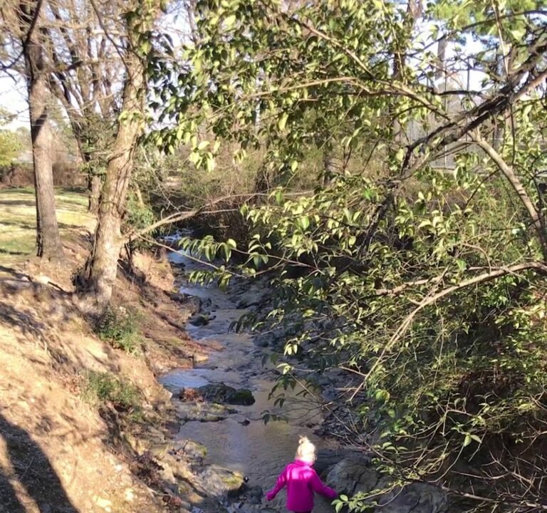 Soccer Field image 4