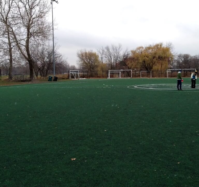 Soccer Field image 4