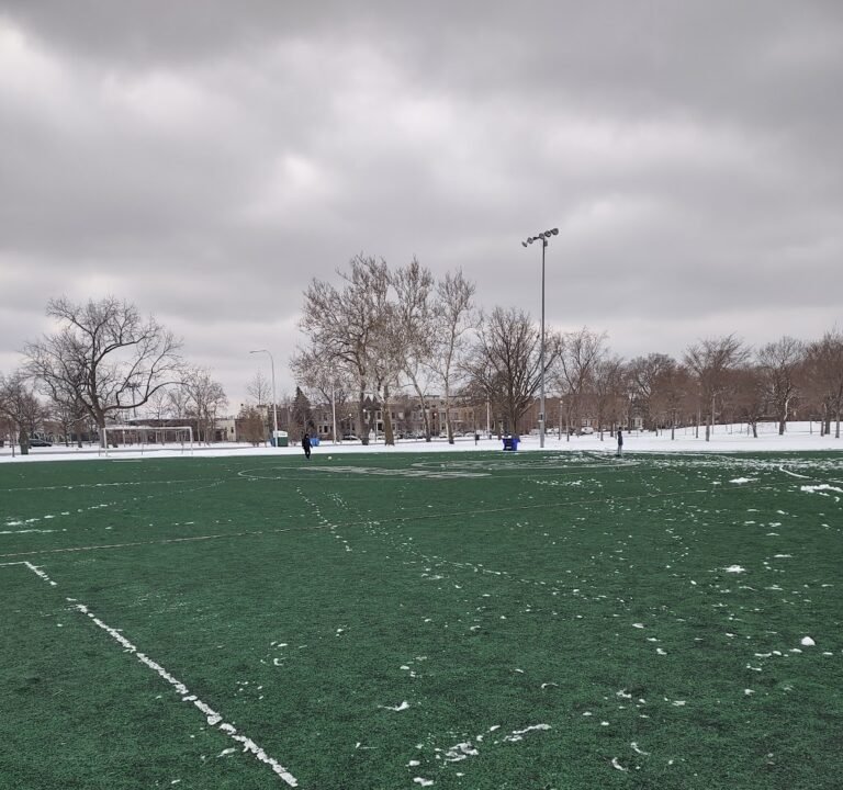 Soccer Field image 2
