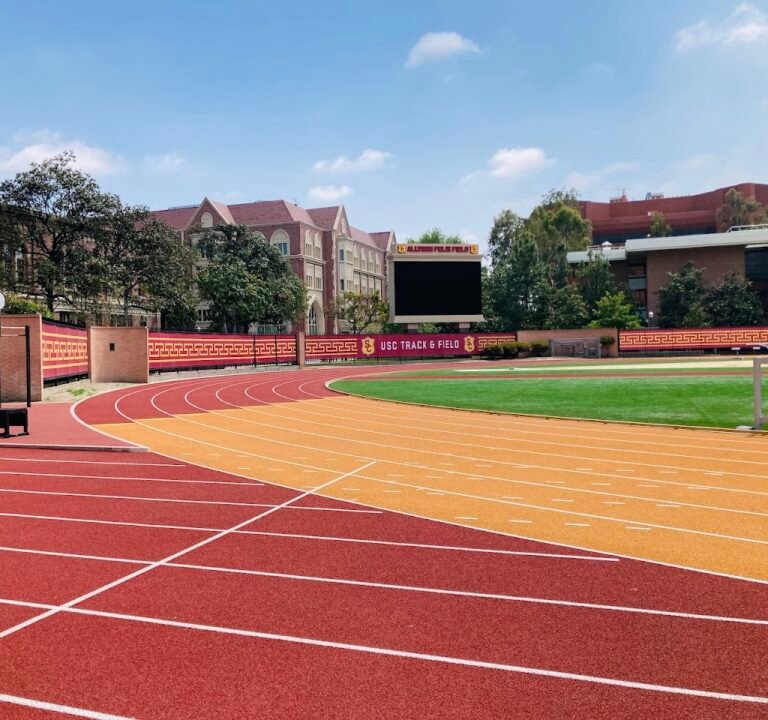 Soccer Field image 2