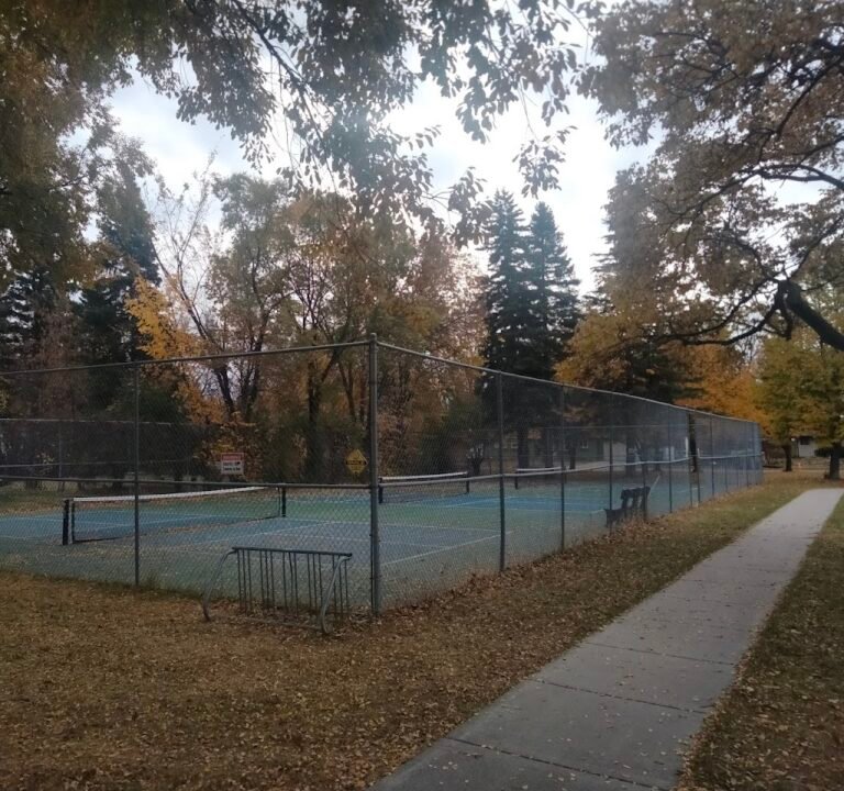 Soccer Field image 2