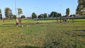 Soccer Field image 1