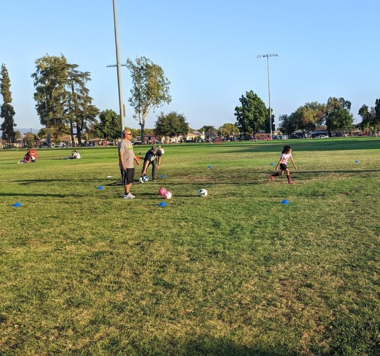 Soccer Field image 3