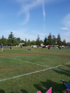 Soccer Field image 1